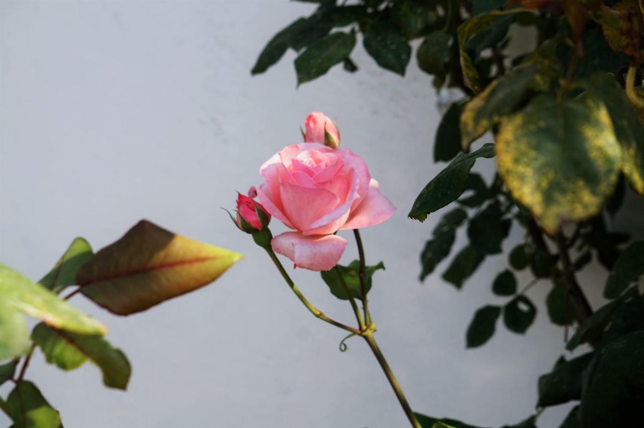Casa Vanni 瓦达 外观 照片